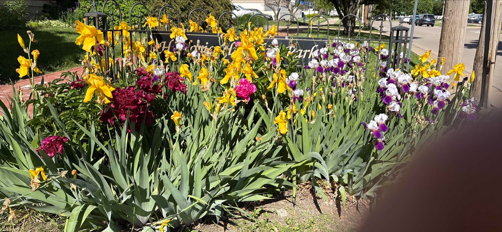 Topeka Scavenger Hunt scavenger hunt photos