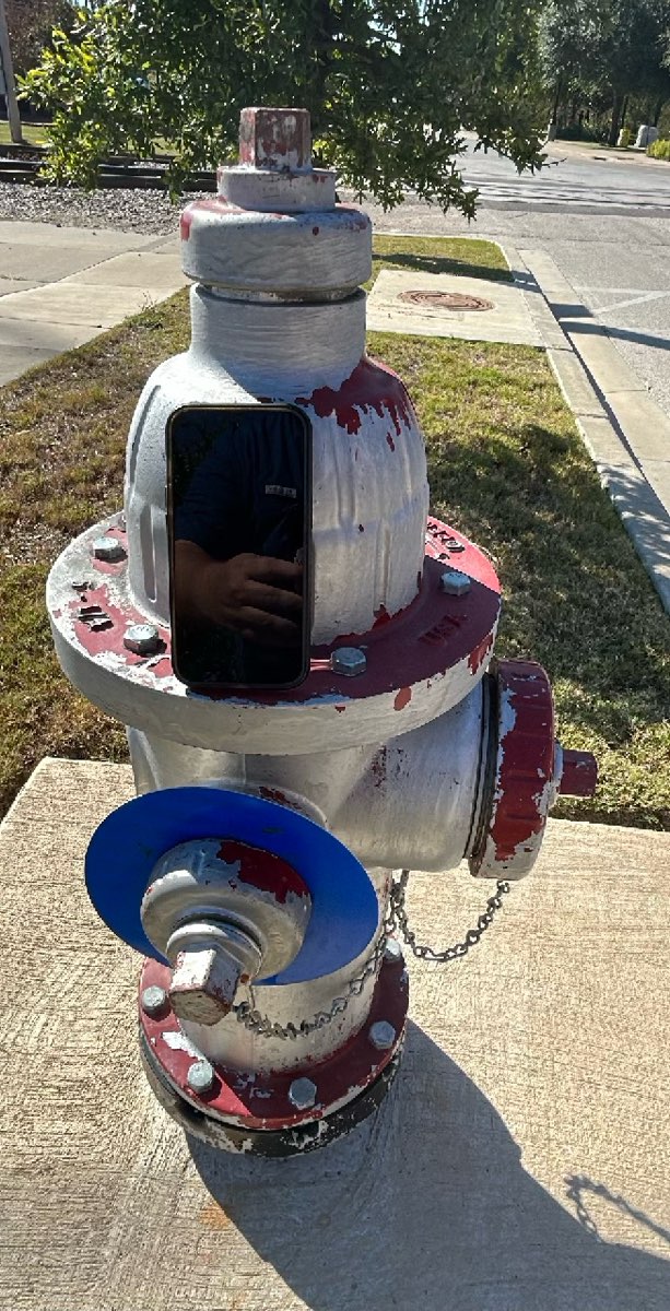 Waxahachie Scavenger Hunt scavenger hunt photos