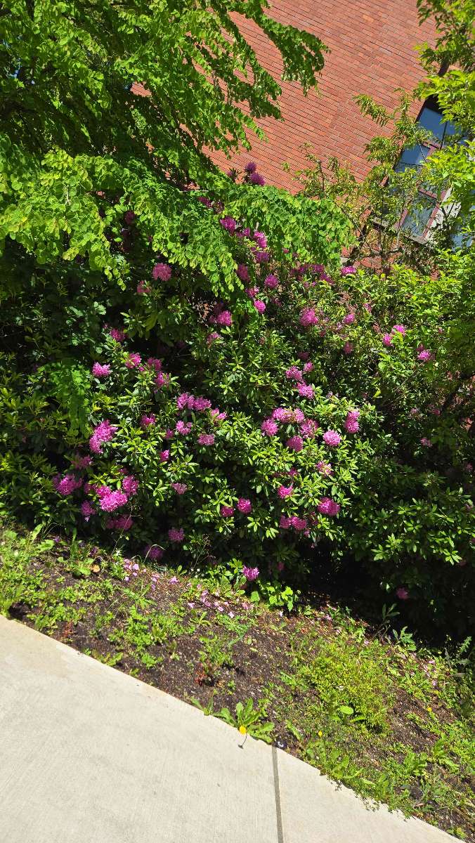 Φωτογραφίες κυνηγιού θησαυρού του Eugene