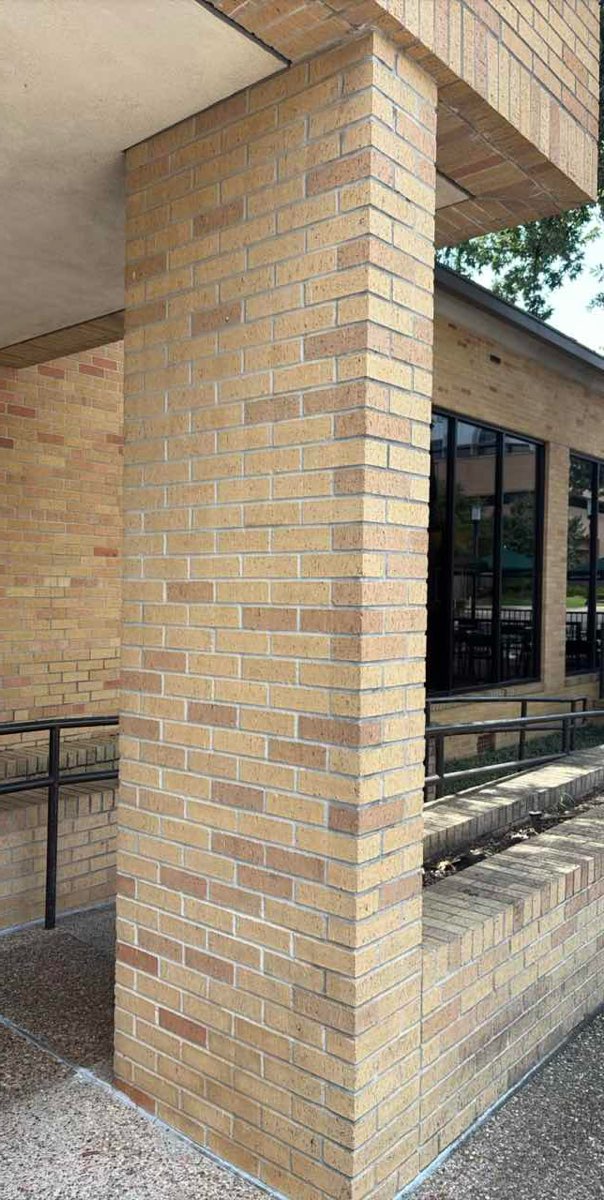 Arlington Texas Scavenger Hunt scavenger hunt photos