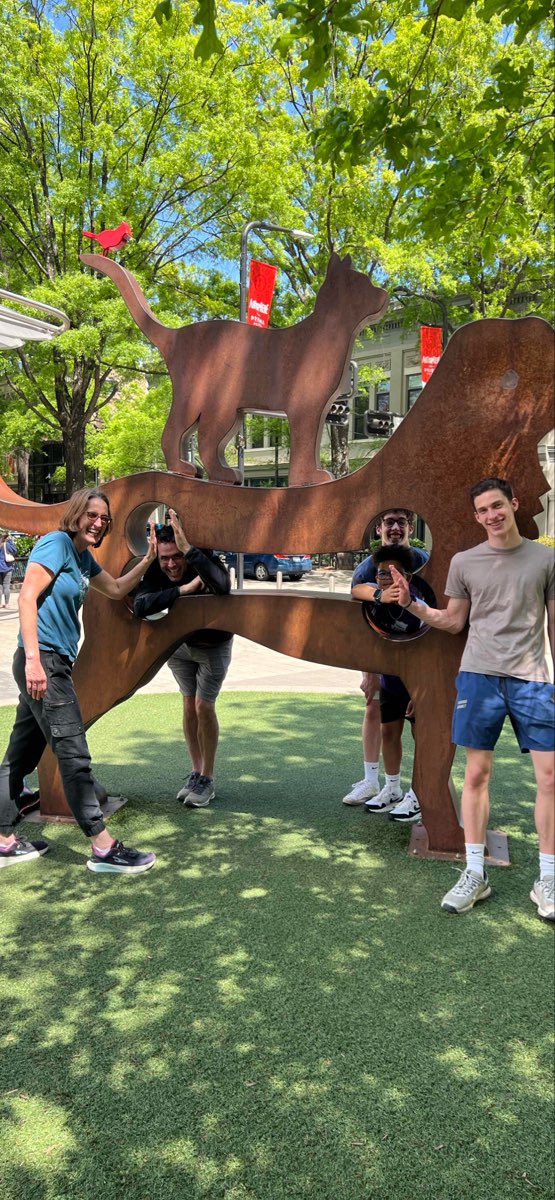 תמונות חיפוש מטמון ב Greenville South Carolina