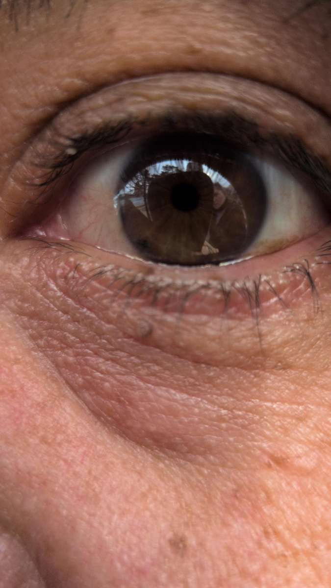 Foto's van de Rockford Illinois Scavenger Hunt speurtocht