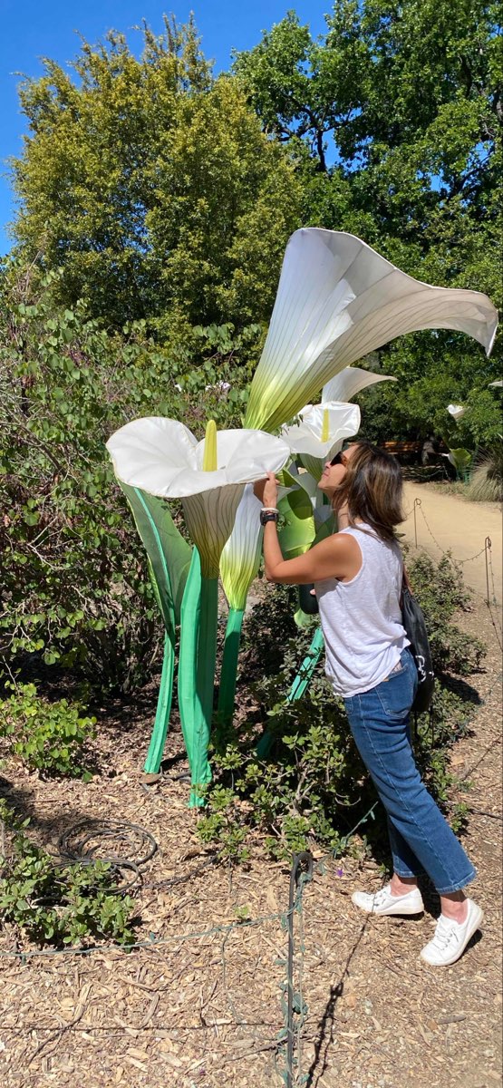 レディング・スカベンジャーハントのスカベンジャーハント写真