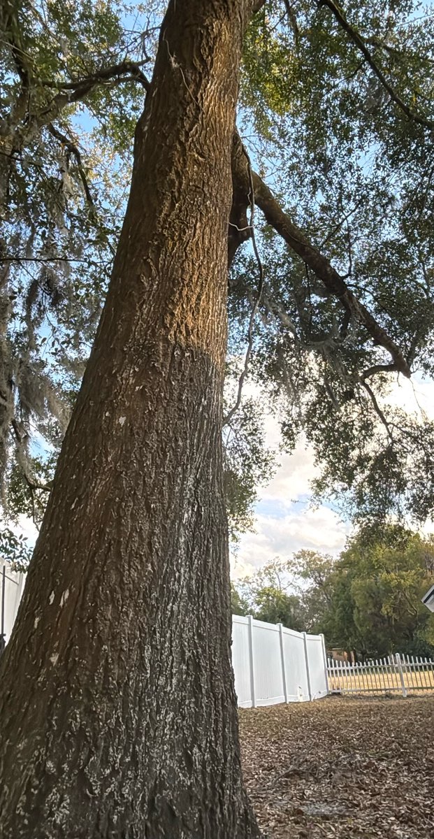 team building scavenger hunt