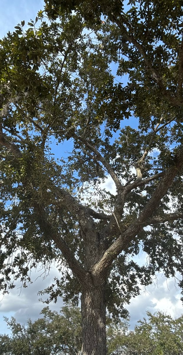 team building scavenger hunt