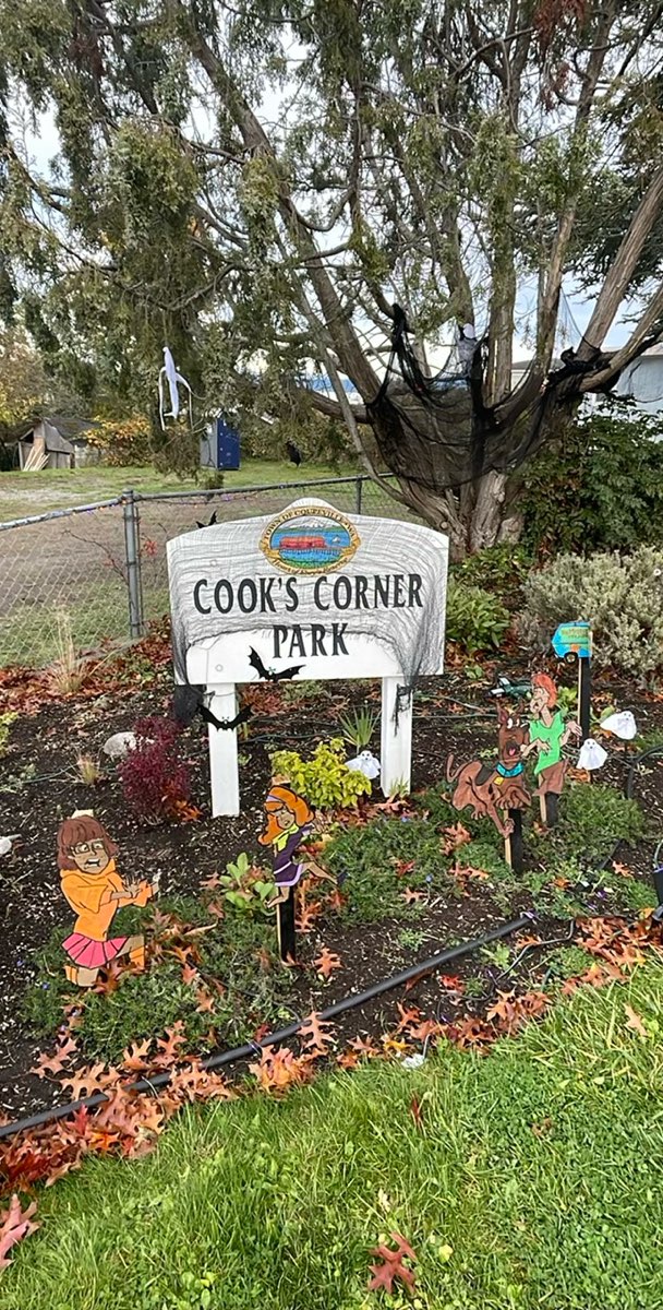 クープビル・スカベンジャーハントのスカベンジャーハント写真