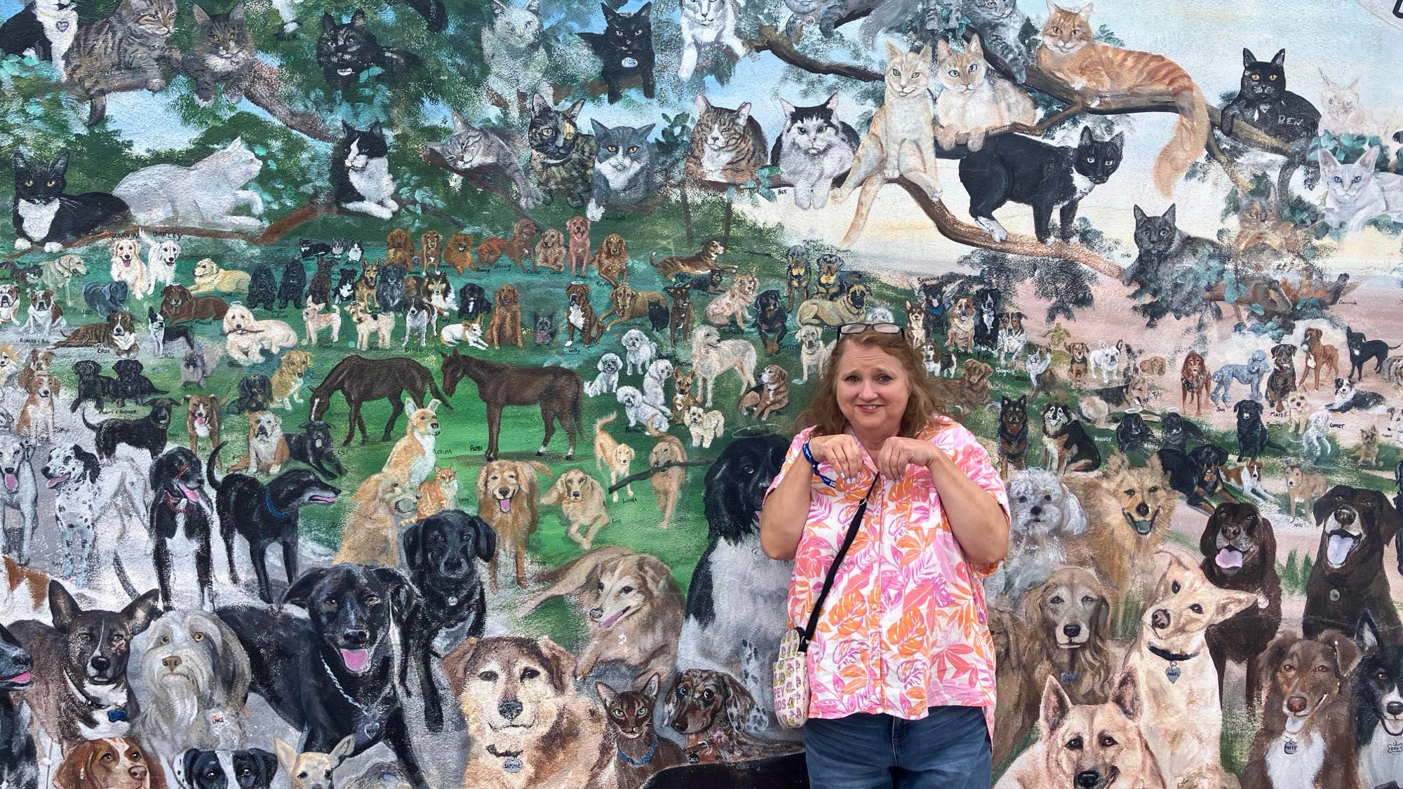 佛罗里达州邓尼丁市中心寻宝游戏寻宝游戏照片