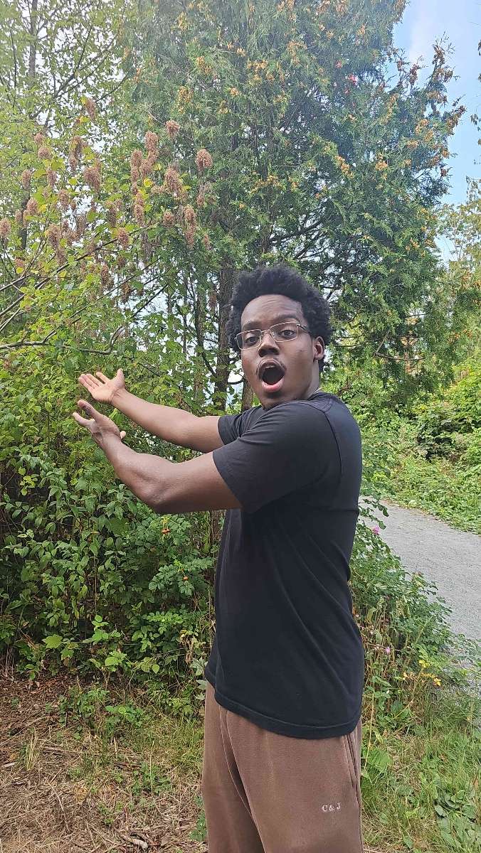 Vancouver British Columbia Scavenger Hunt scavenger hunt photos