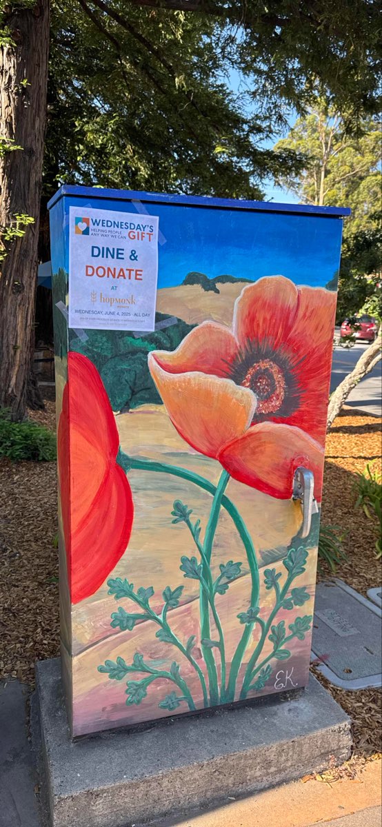 노바토 스캐빈저 헌트 스캐빈저 헌트 사진