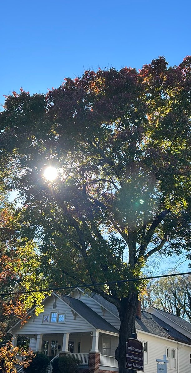 Hillsborough Scavenger Hunt scavenger hunt photos