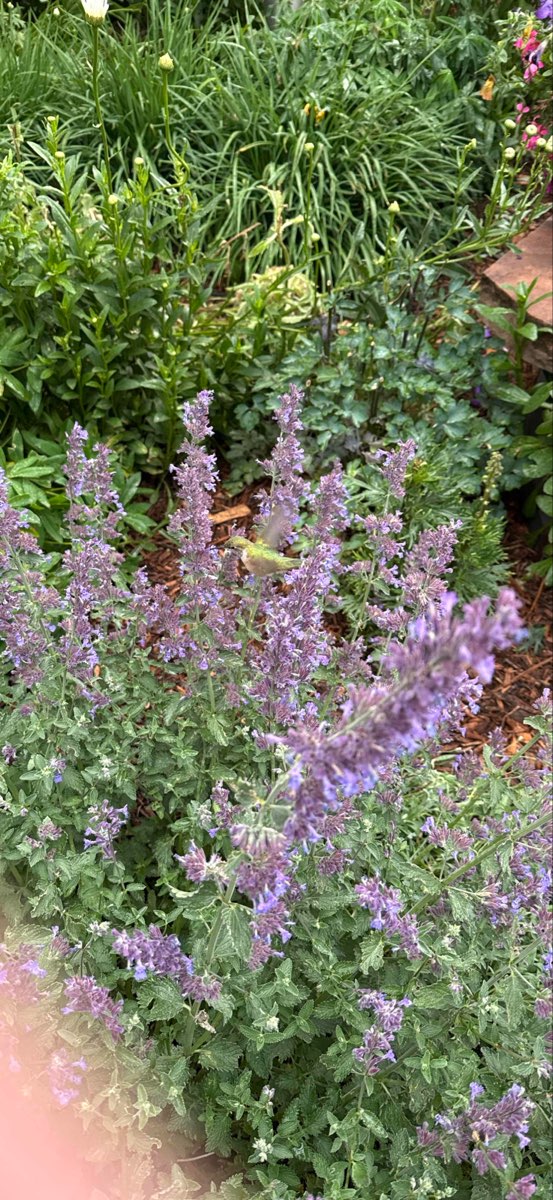 team building scavenger hunt