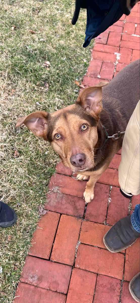 תמונות של חיפוש אחר המטמון בסקסונבורג