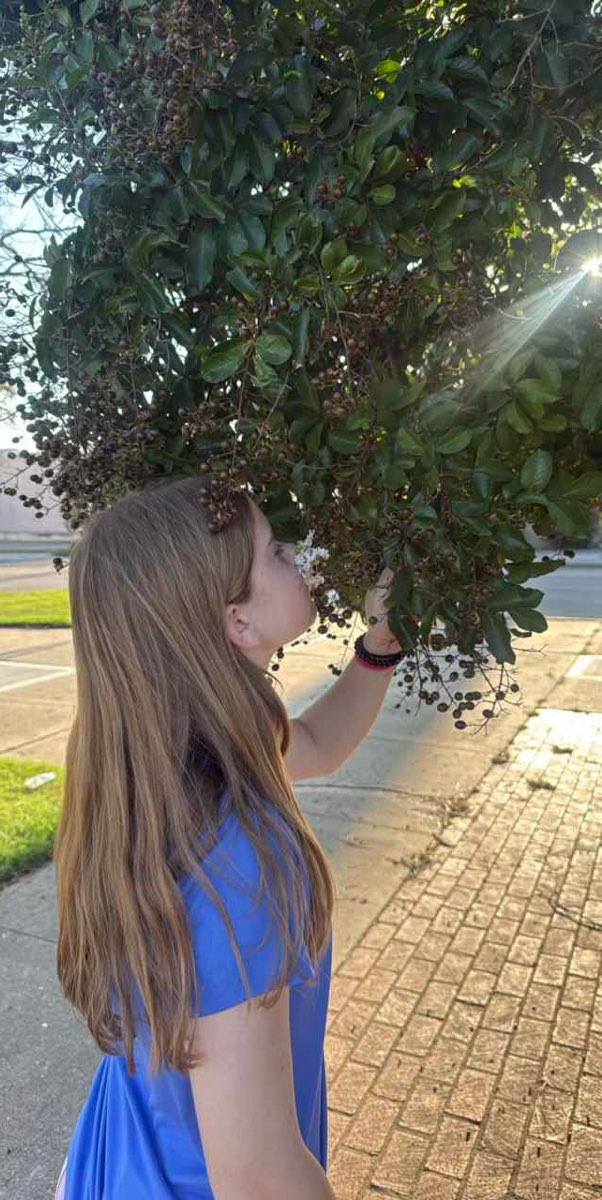 Lawton Scavenger Hunt scavenger hunt photos