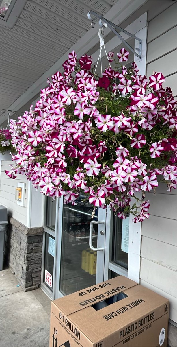 Foto della caccia al tesoro di Saranac Lake