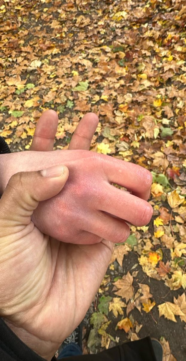 स्टटगार्ट घोस्ट टूर स्कैवेंजर हंट तस्वीरें