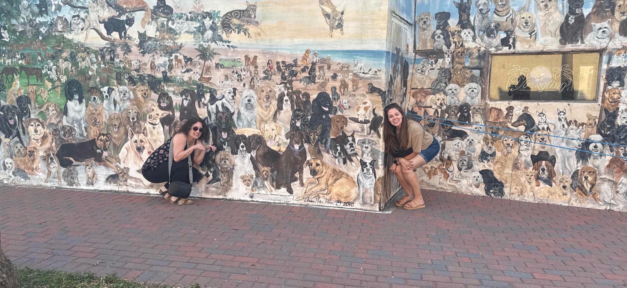 佛罗里达州邓尼丁市中心寻宝游戏寻宝游戏照片