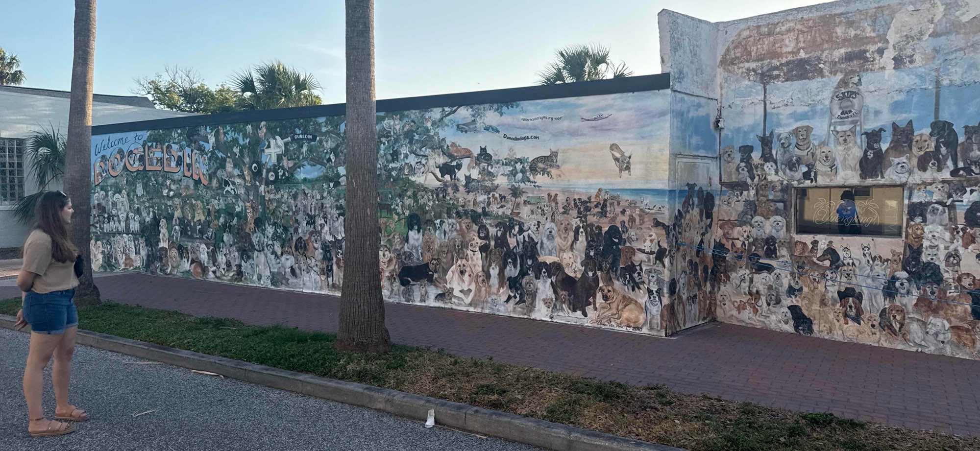 佛罗里达州邓尼丁市中心寻宝游戏寻宝游戏照片