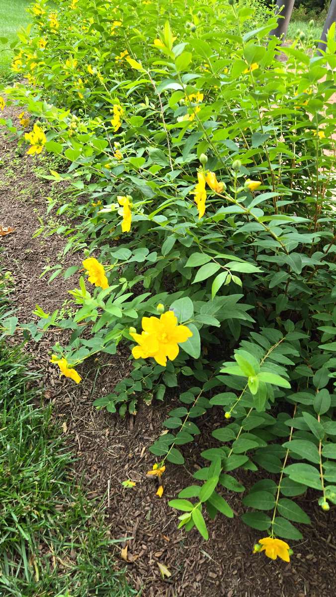 Newark Delaware Scavenger Hunt scavenger hunt photos