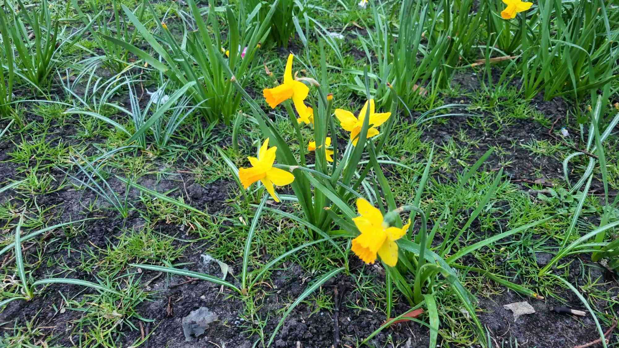 &kappa;&upsi;&nu;ή&gamma;&iota; &theta;&eta;&sigma;&alpha;&upsi;&rho;&omicron;ύ &gamma;&iota;&alpha; &omicron;&mu;&alpha;&delta;&iota;&kappa;ή &epsi;&rho;&gamma;&alpha;&sigma;ί&alpha;