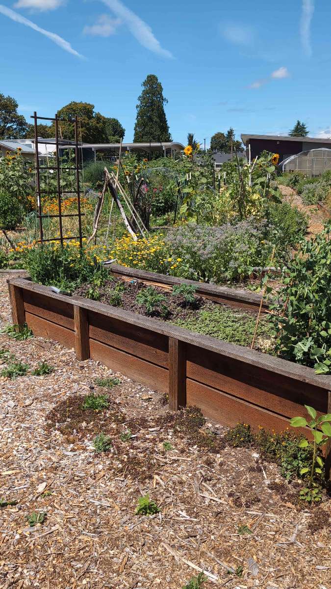 Hillsboro Oregon Scavenger Hunt scavenger hunt photos