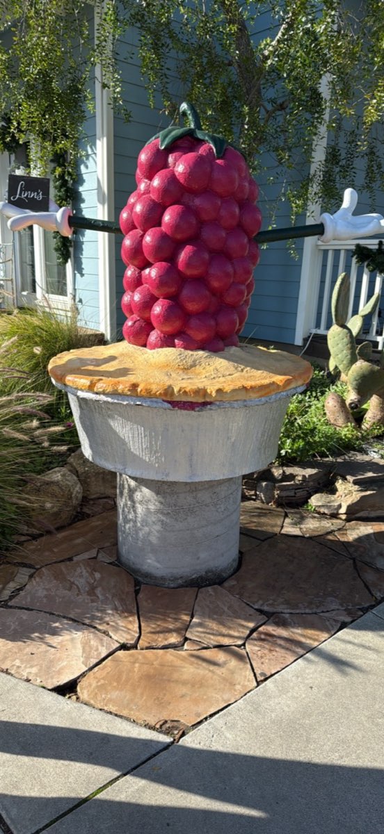 Cambria Scavenger Hunt scavenger hunt photos