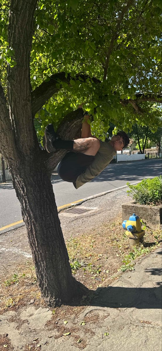 &Phi;&omega;&tau;&omicron;&gamma;&rho;&alpha;&phi;ί&epsi;&sigmav; &kappa;&upsi;&nu;&eta;&gamma;&iota;&omicron;ύ &theta;&eta;&sigma;&alpha;&upsi;&rho;&omicron;ύ &sigma;&tau;&omicron; &Tau;&zeta;ά&kappa;&sigma;&omicron;&nu;&beta;&iota;&lambda; &tau;&omicron;&upsi; Ό&rho;&epsi;&gamma;&kappa;&omicron;&nu;