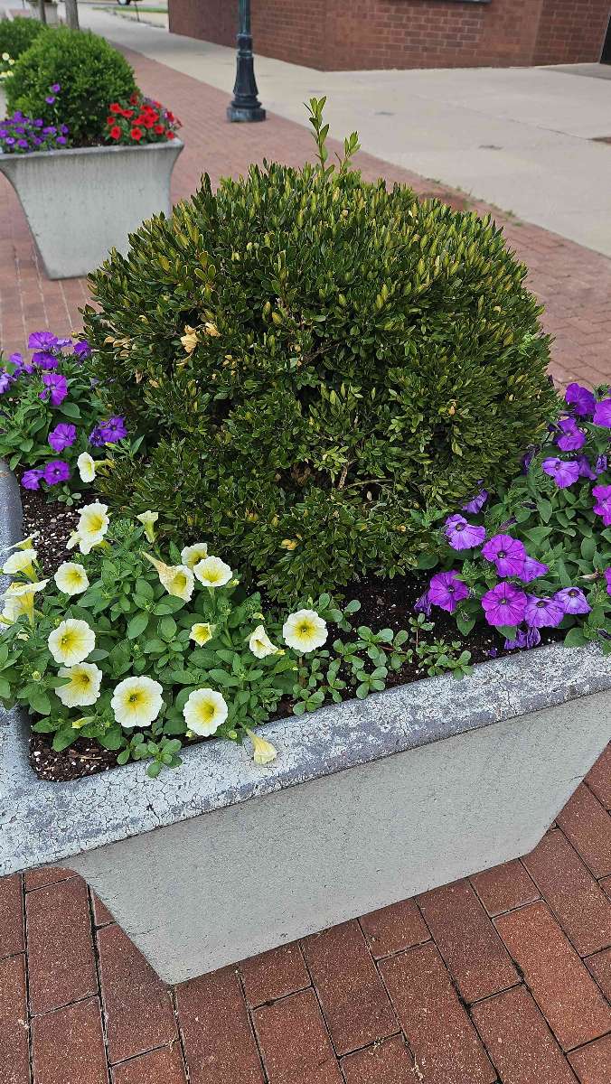 Millikin University Scavenger Hunt scavenger hunt photos