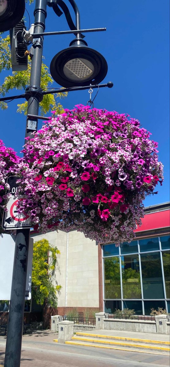 Penticton Scavenger Hunt scavenger hunt photos