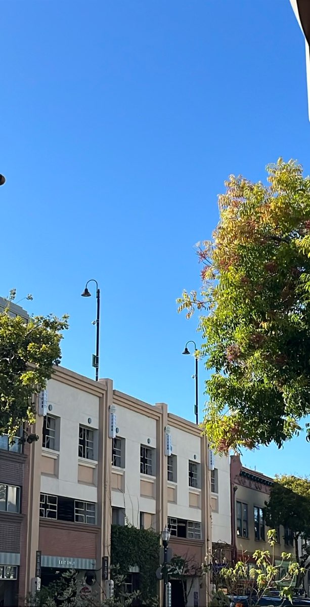 샌 마테오 스캐빈저 헌트 스캐빈저 헌트 사진