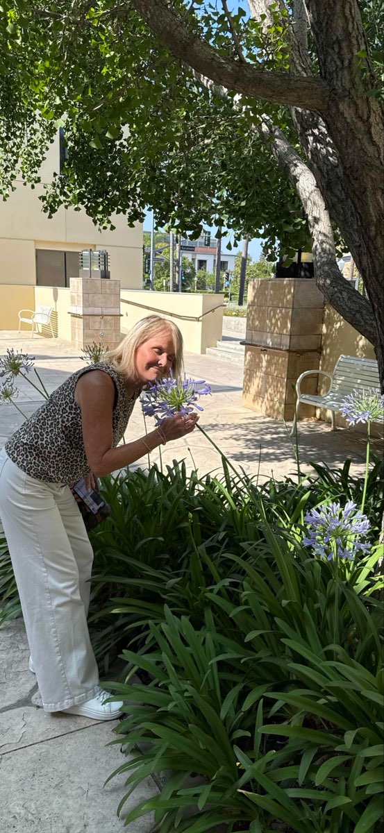 Photos de la chasse au tr&eacute;sor de l'Universit&eacute; Chapman