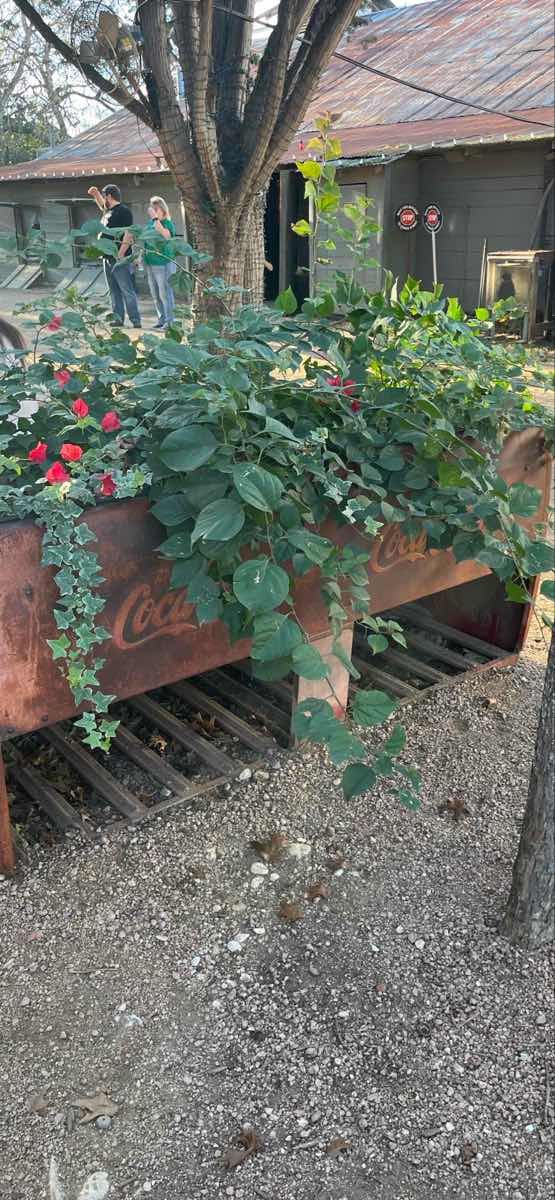 Gruene Scavenger Hunt-speurtochtfoto's