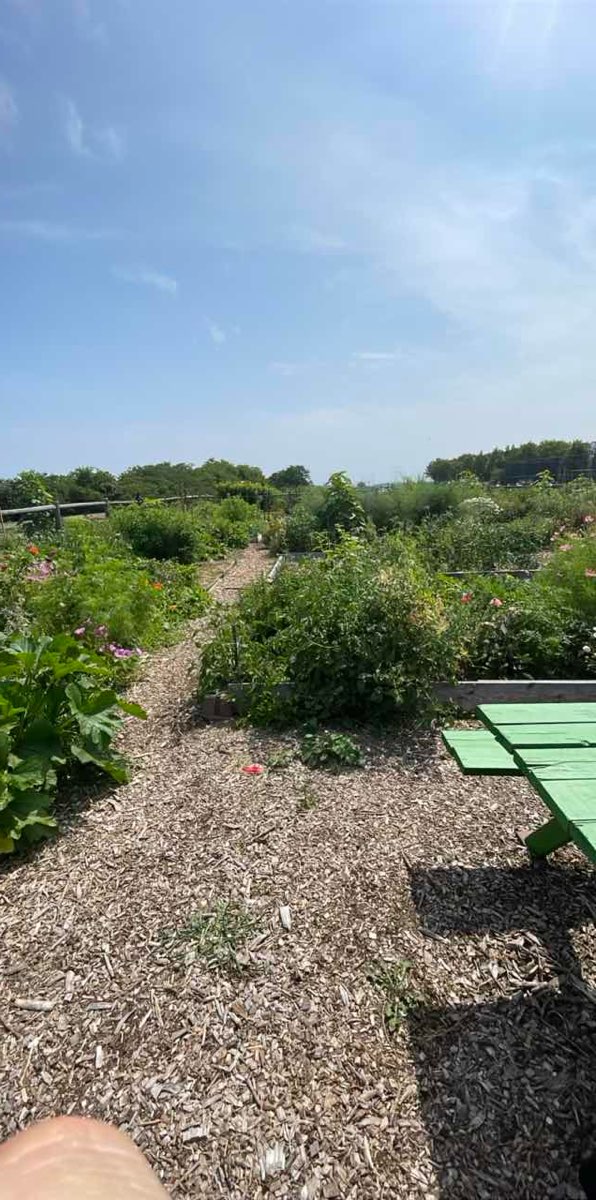 University of Southern Maine Scavenger Hunt scavenger hunt photos