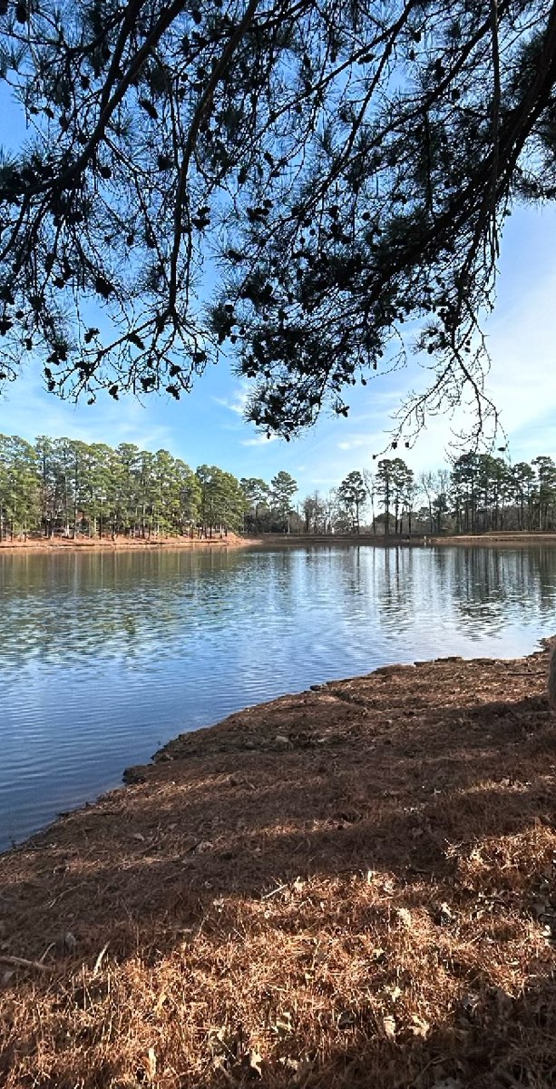 North Littltle Rock Scavenger Hunt scavenger hunt photos