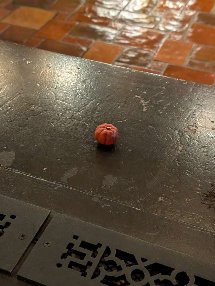 Fort Wayne Scavenger Hunt scavenger hunt photos