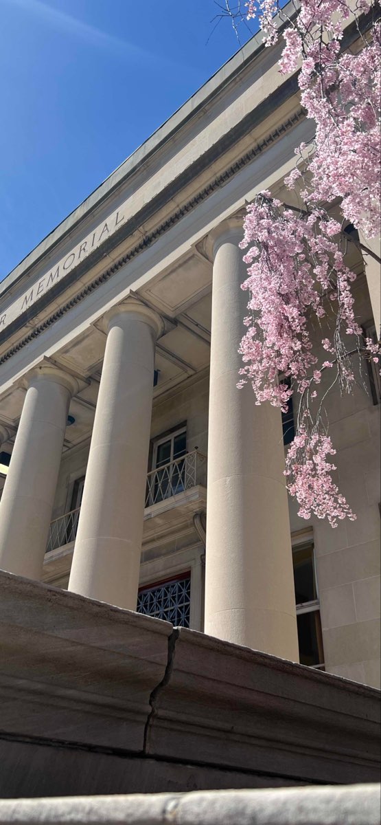 &Fcy;&ocy;&tcy;&ocy;&gcy;&rcy;&acy;&fcy;&icy;&icy; &scy; &kcy;&vcy;&iecy;&scy;&tcy;&acy; &pcy;&ocy; &pcy;&acy;&rcy;&kcy;&ucy; &Dcy;&ecy;&jcy;&ncy;&icy;