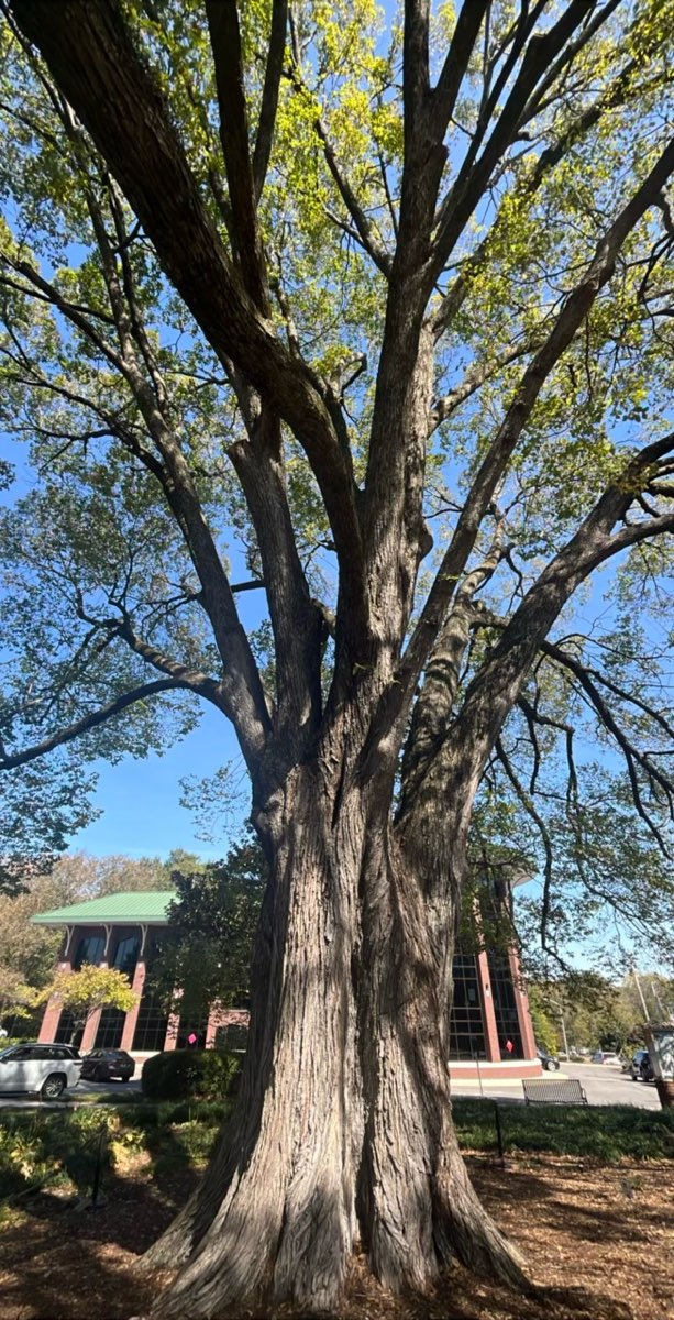 ภาพถ่ายการล่าสมบัติทัวร์ผีเมืองนอร์ครอส