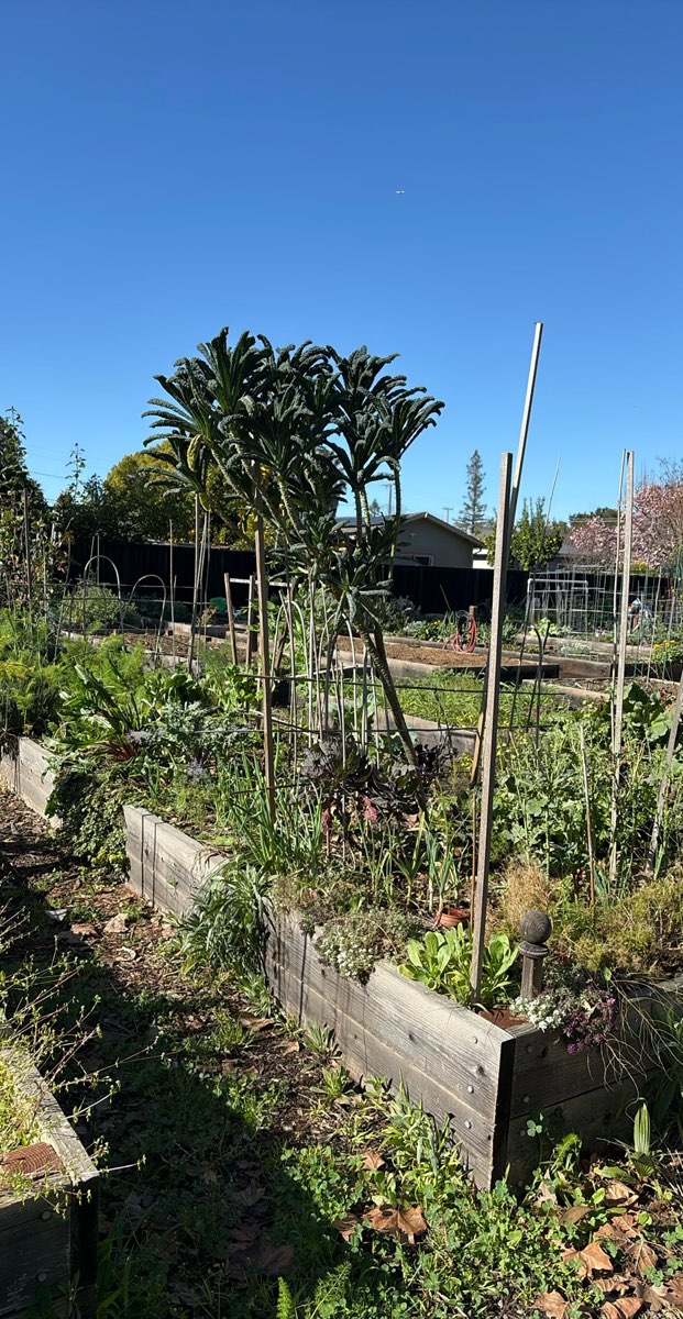 team building scavenger hunt