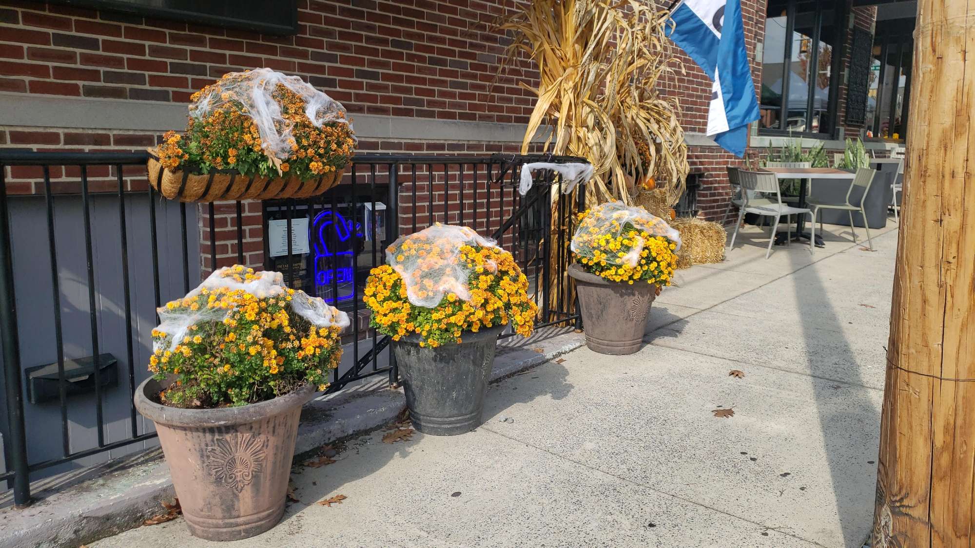 West Reading Scavenger Hunt scavenger hunt photos