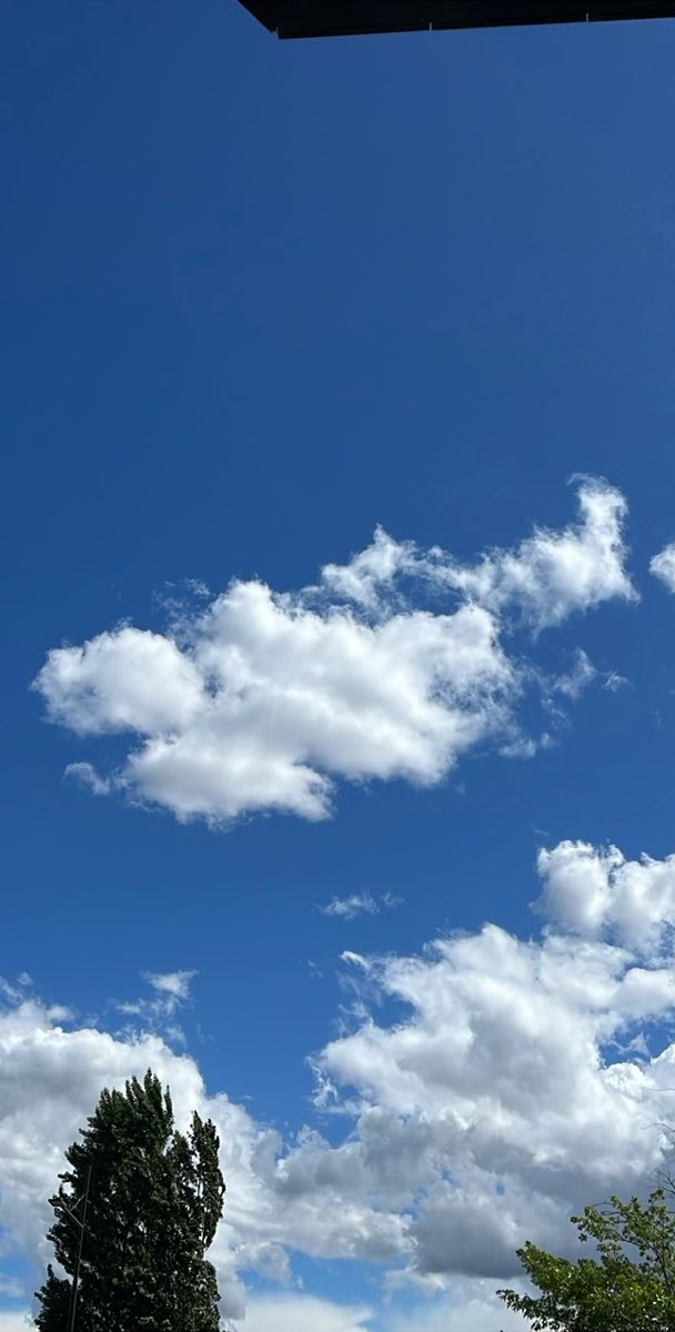 team building scavenger hunt