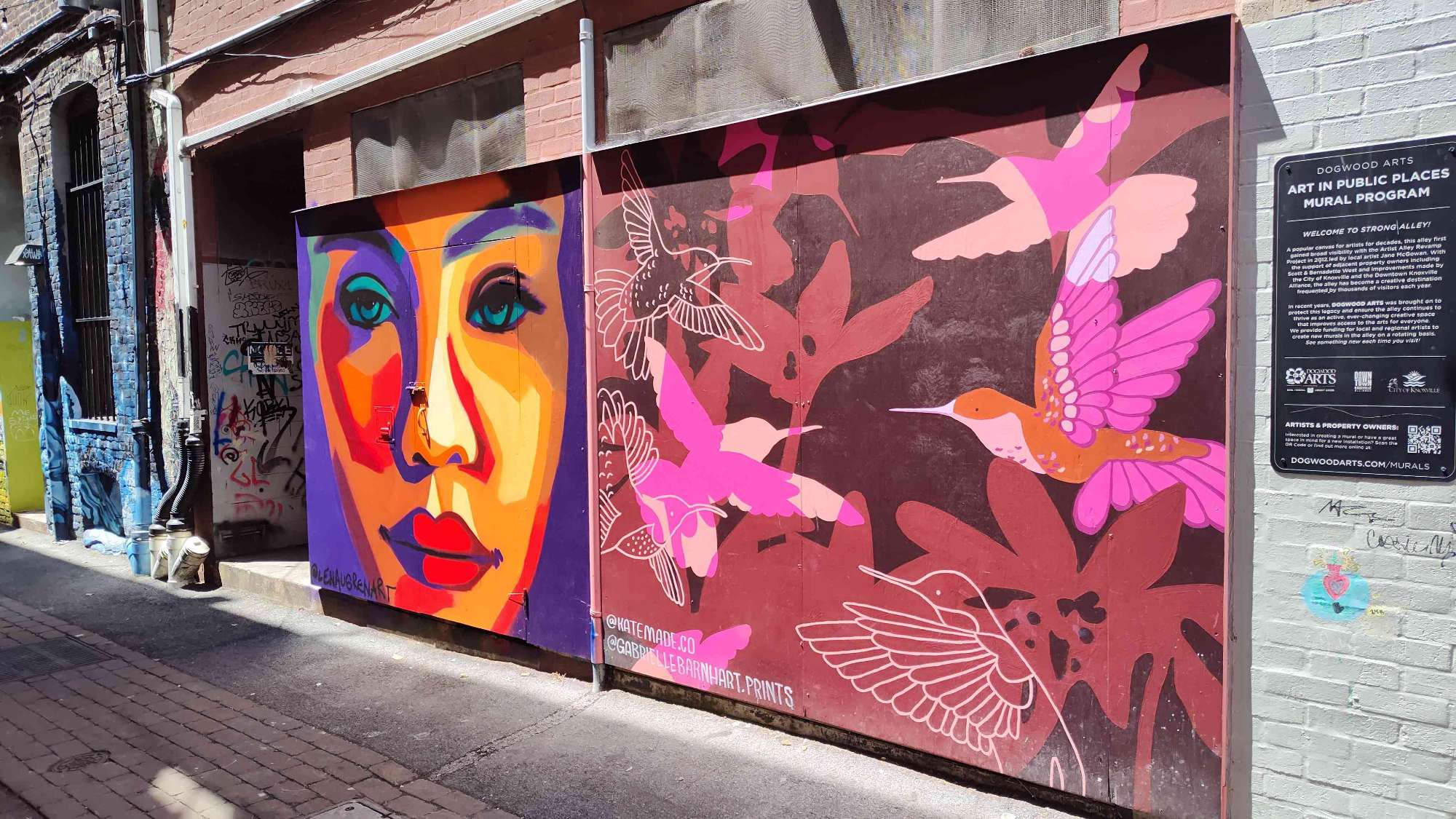 Fotos de la búsqueda del tesoro de la Universidad de Tennessee--Knoxville