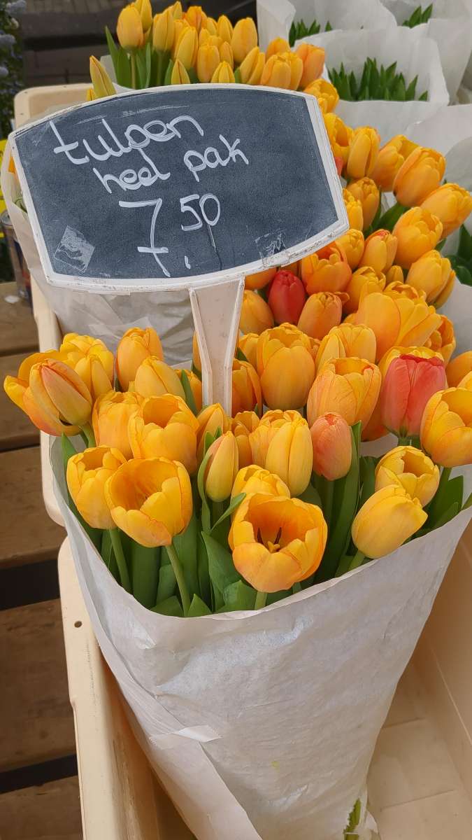 Photos de la chasse au trésor d'Amsterdam, Pays-Bas