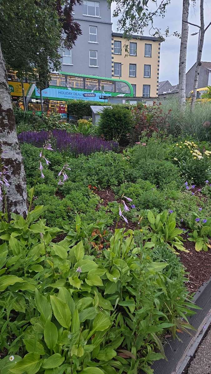 Galway Ireland Scavenger Hunt scavenger hunt photos