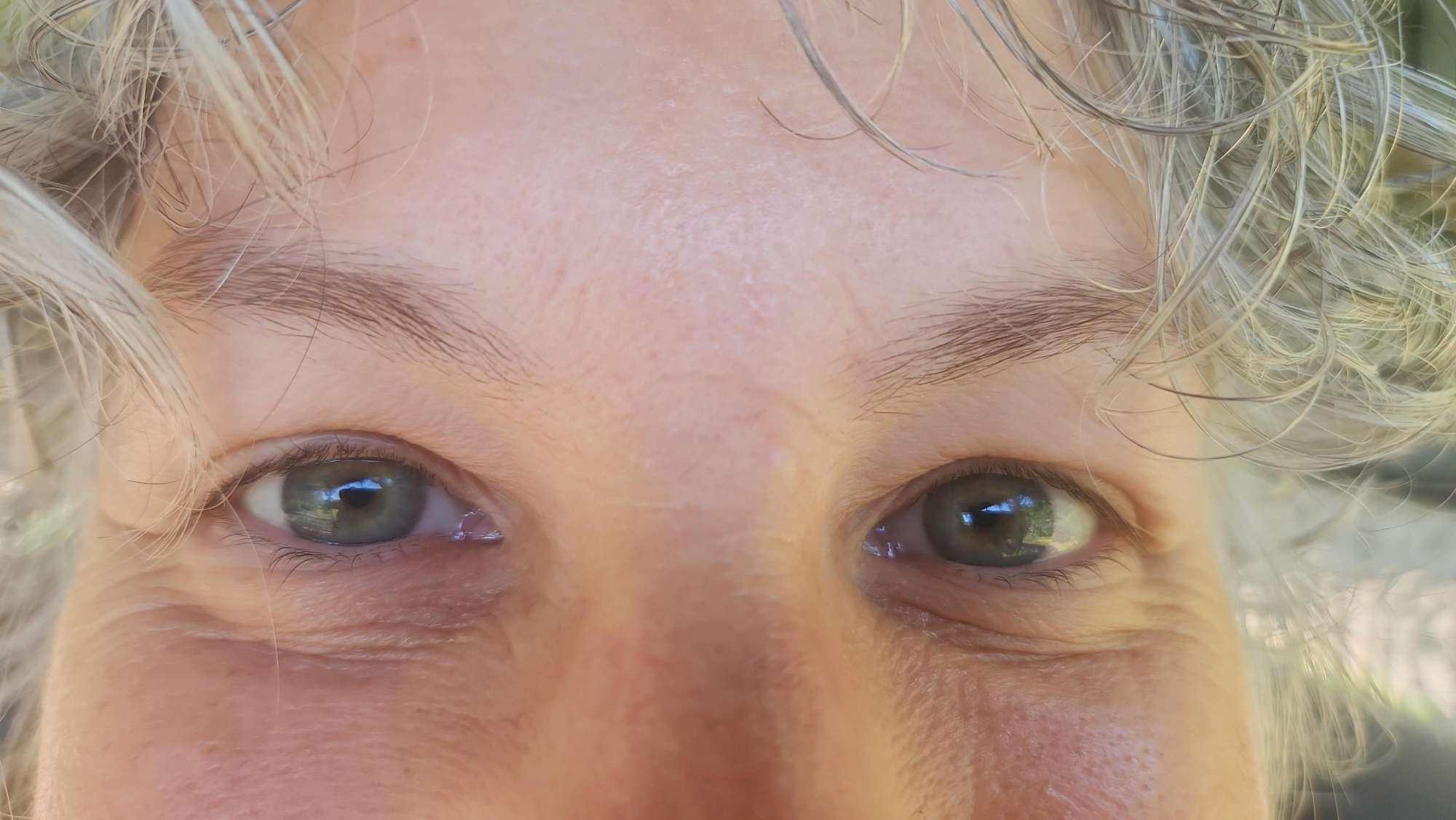 Kew Scavenger Hunt scavenger hunt photos