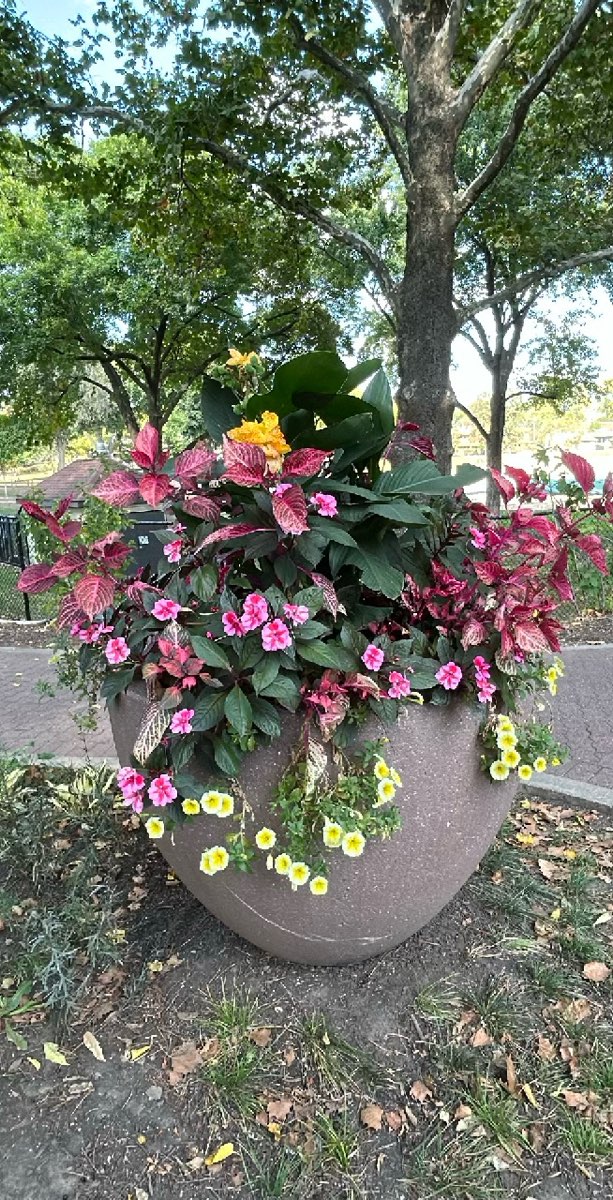 Naperville Scavenger Hunt scavenger hunt photos