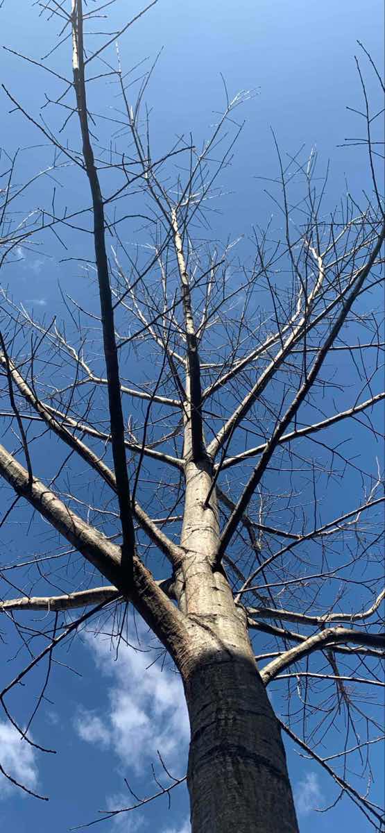 team building scavenger hunt