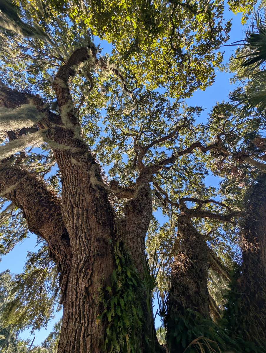 Jekyll Island Scavenger Hunt scavenger hunt photos