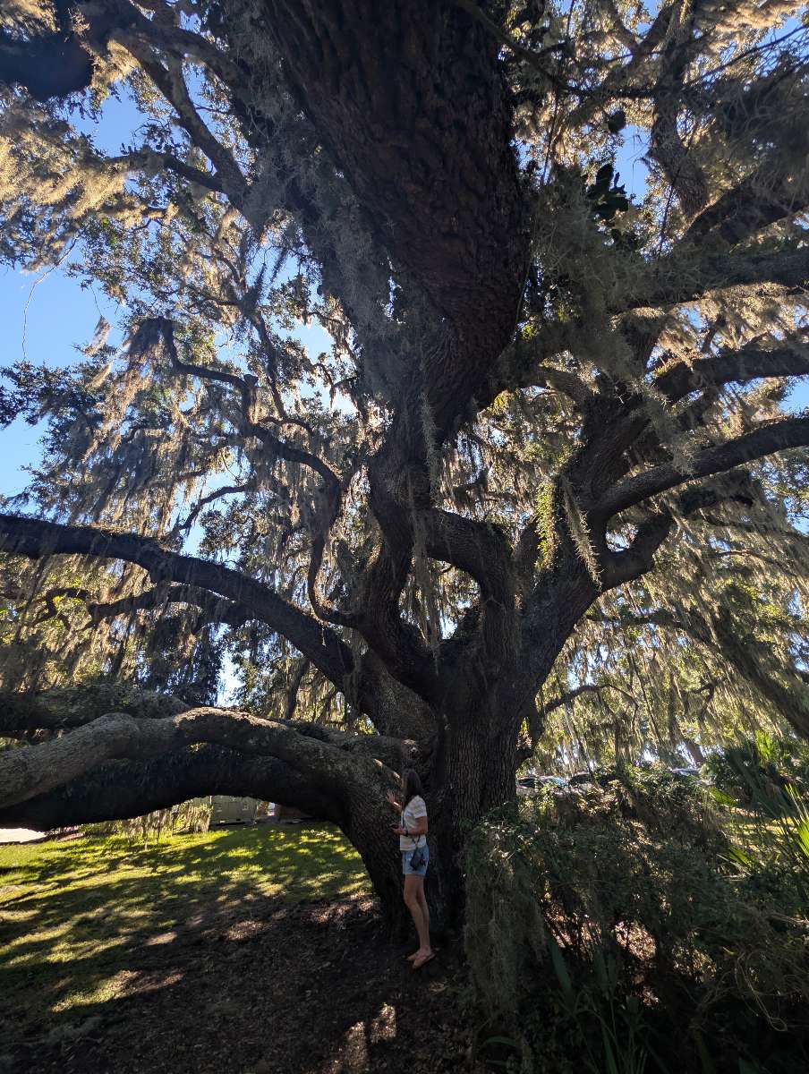 Jekyll Island Scavenger Hunt scavenger hunt photos