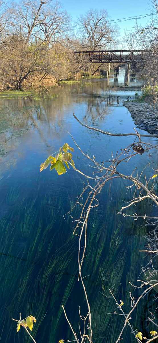 Texas State University Scavenger Hunt scavenger hunt photos
