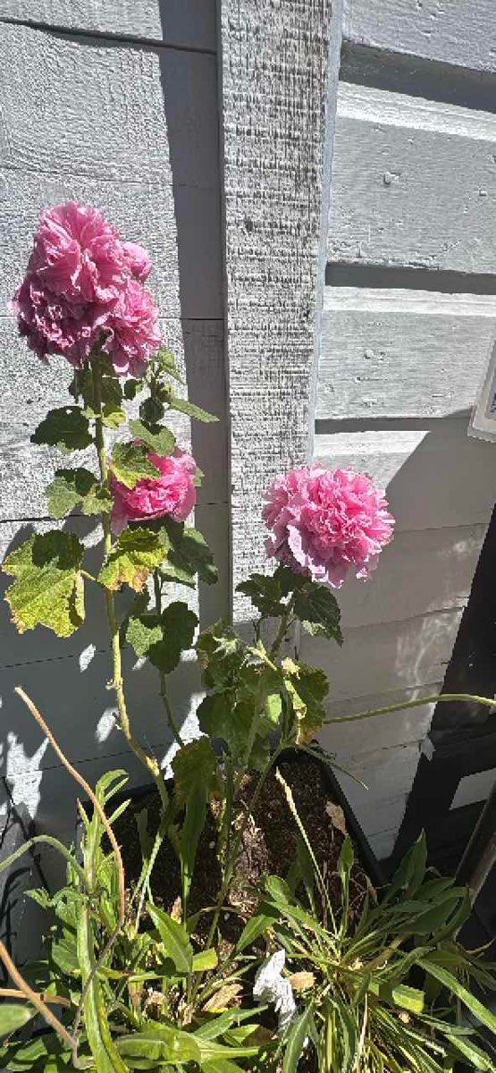 Grand Lake Scavenger Hunt scavenger hunt photos