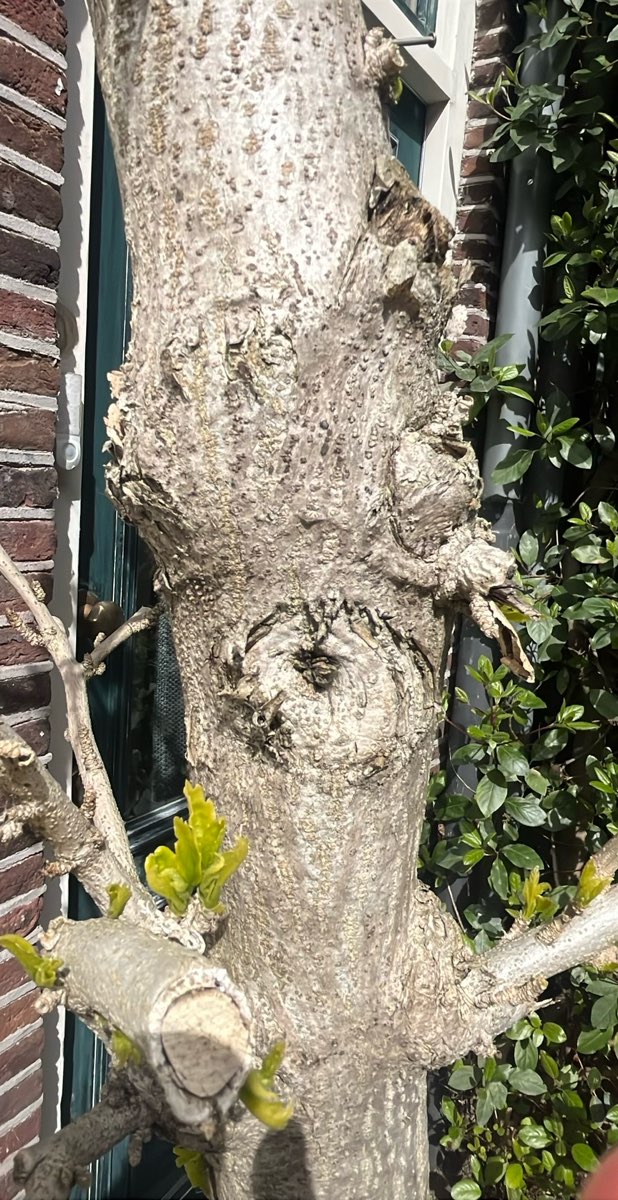 Foto della caccia al tesoro del Ghost Tour di Utrecht